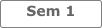 Sem 1
